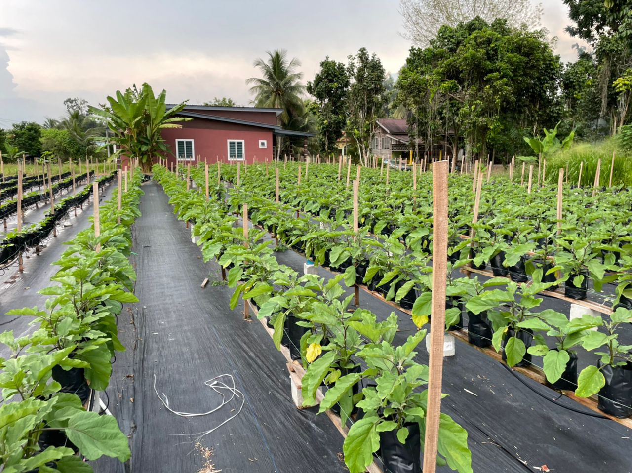 WhatsApp-Image-2021-11-27-at-3.13.08-PM-3